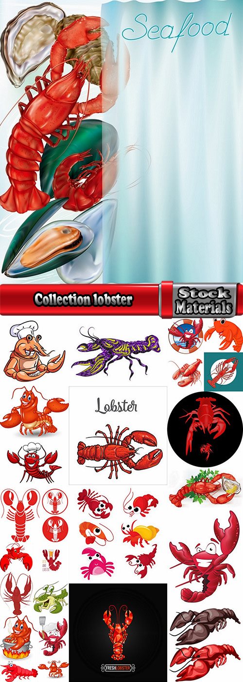 Collection lobster cancer crab seafood cartoon vector image 25 EPS