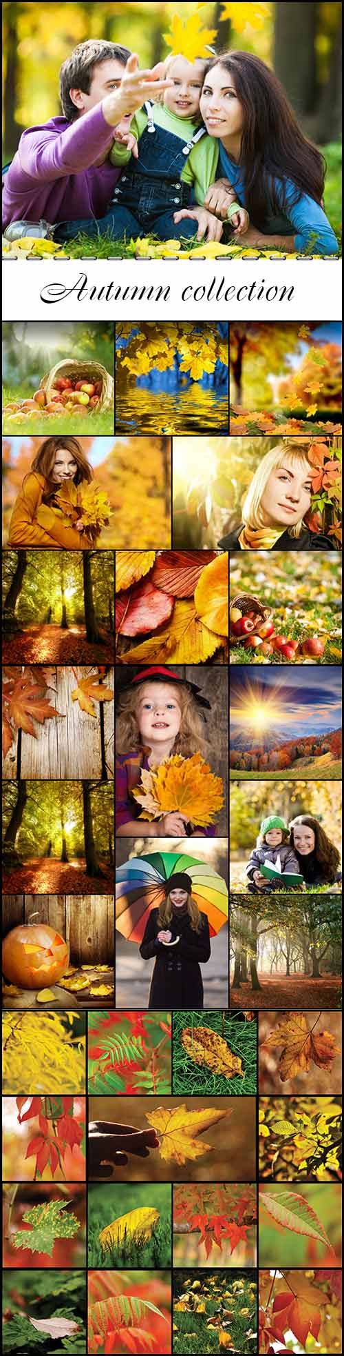 Autumn collection raster graphics