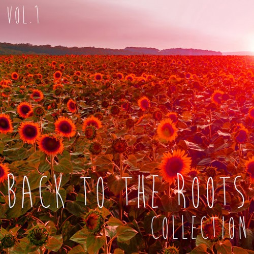 Back to the Roots Collection Vol. 1 - Selection of Deep House (2016)