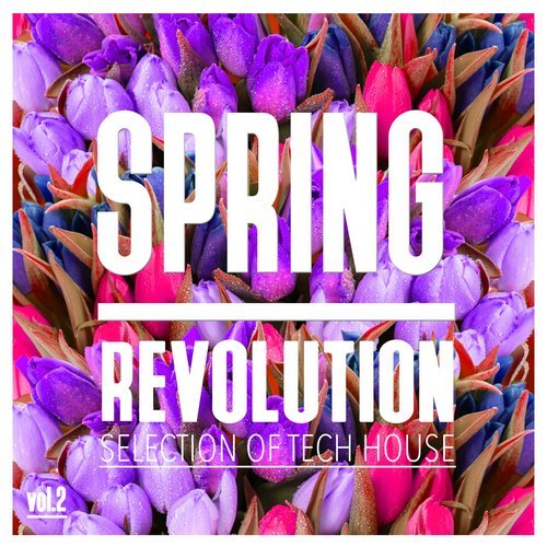 Spring Revolution, Vol. 2 - Selection of Tech House (2016)
