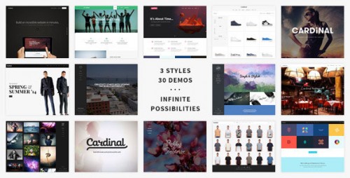 NULLED Cardinal v2.5.6 - Themeforest Premium WordPress Theme product photo