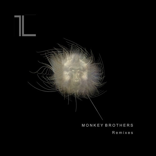 Monkey Brothers Remixes (2016)
