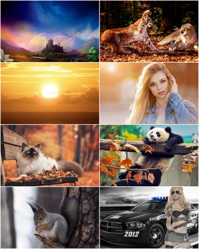 Incredible Collection Of Beautiful Wallpapers #1768