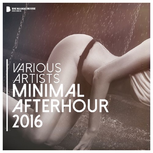 Patrick Vano - Selected Vibes, Vol. 5: Finest in Electronic Music (2016)