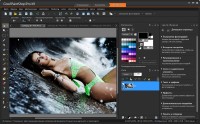 Corel PaintShop Pro X9 Ultimate 19.1.0.29 + Content ML/RUS