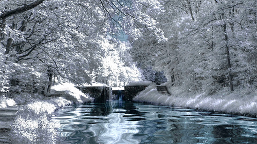 Beautiful winter nature HD 