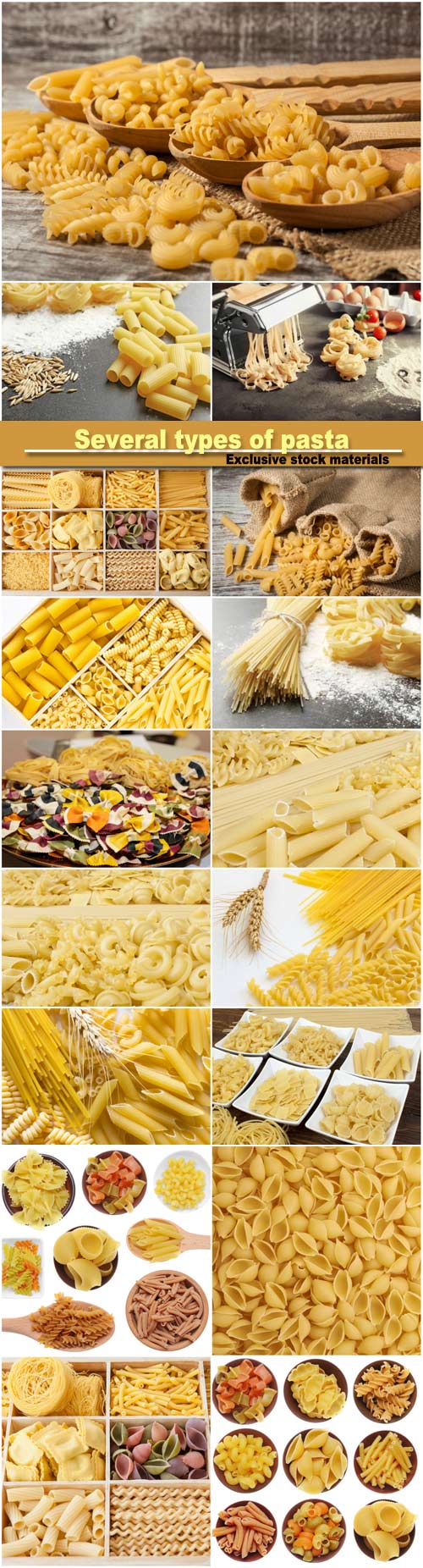 Several types of pasta, spikelets of wheat