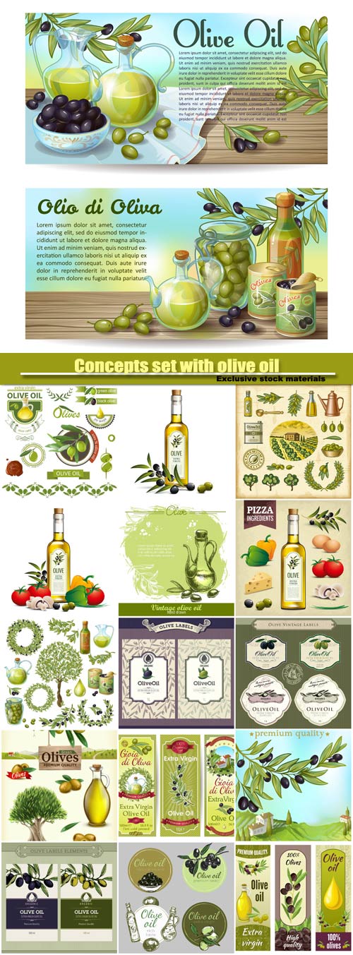 Concepts set with olive oil, drawn background with olives vector illustration