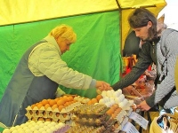 На киевских рынках яйца и мясо подорожали, а картофель подешевел
