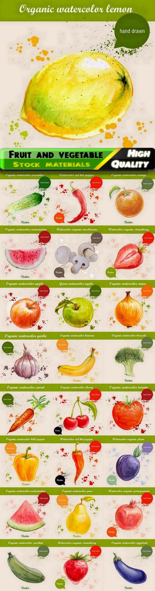 Creative art illustrations of watercolor fruit and vegetable 25 Eps