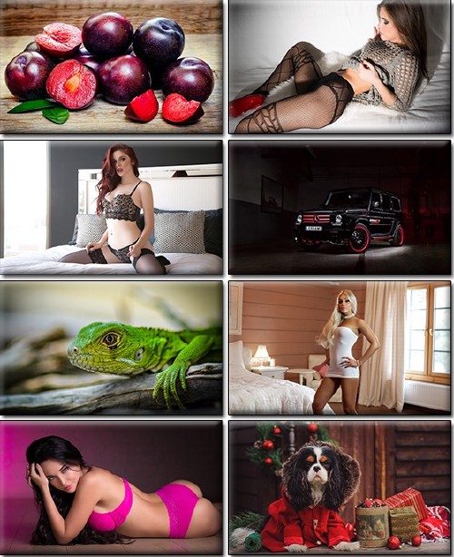 LIFEstyle News MiXture Images. Wallpapers Part (1116)
