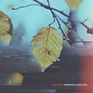 Through Lucid Eyes - Transient [EP] (2016)