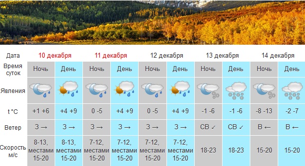 В Крыму портится погода, усиливается ветер, на следующей неделе - мороз до -13