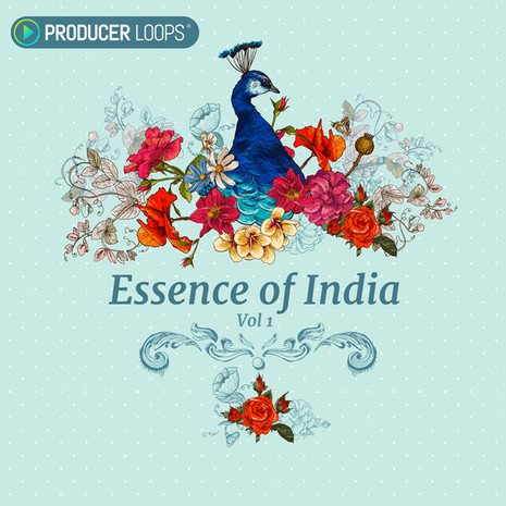 Producer Loops Essence of India Vol.1 ACiD WAV