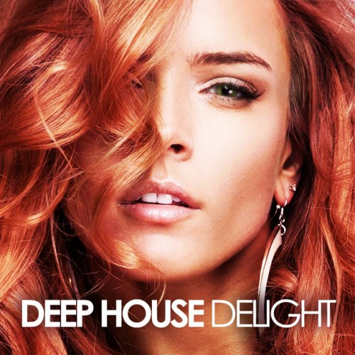 VA - Deep House Delight (2016)