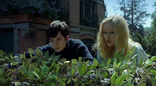      / Miss Peregrine's Home for Peculiar Children (2016) DVDRip