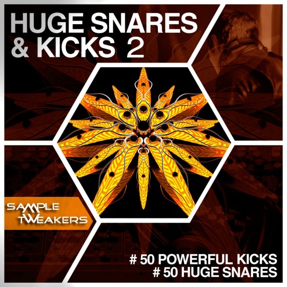 Sample Tweakers Huge Snares And Kicks Vol 2 WAV