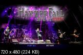 HammerFall - Built To Last (Bonus DVD) (2016) (DVD5) + DVDRip
